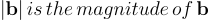 |\mathbf b | \, is \, the \, magnitude \, of  \, \mathbf b \
